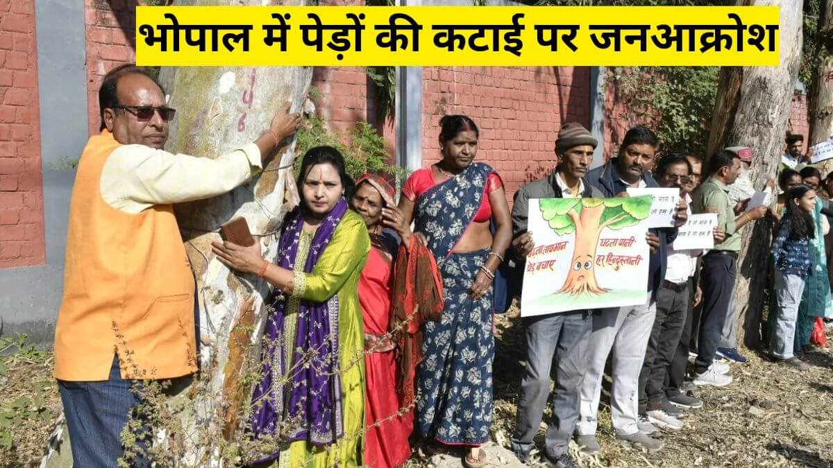 Bhopal News: भोपाल में पेड़ों की कटाई पर जनआक्रोश, बच्चों से बुजुर्गों तक ‘चिपको आंदोलन’, हरियाली बचाने की गुहार