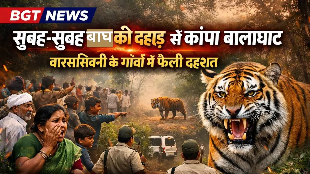 BGT News: सुबह-सुबह बाघ की दहाड़ से कांपा बालाघाट, वारासिवनी के गांवों में फैली दहशत
