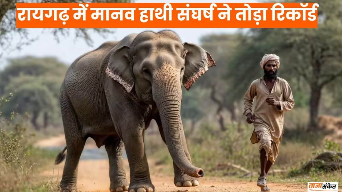 Raigarh News: 25 साल में सैकड़ों मौतें, रायगढ़ में मानव हाथी संघर्ष ने तोड़ा रिकॉर्ड