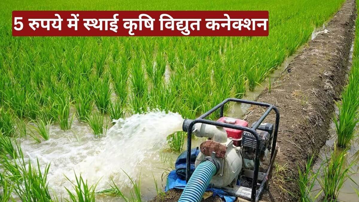 5 रुपये में स्थाई कृषि विद्युत कनेक्शन, किसानों के लिए बड़ी राहत का ऐलान