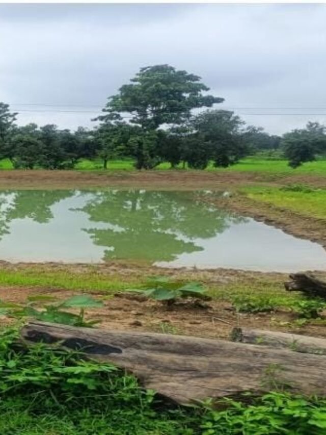 47 मनरेगा खेत तालाब योजना: किसान शिवराम की बदली किस्मत, खेती बनी लाभ का जरिया