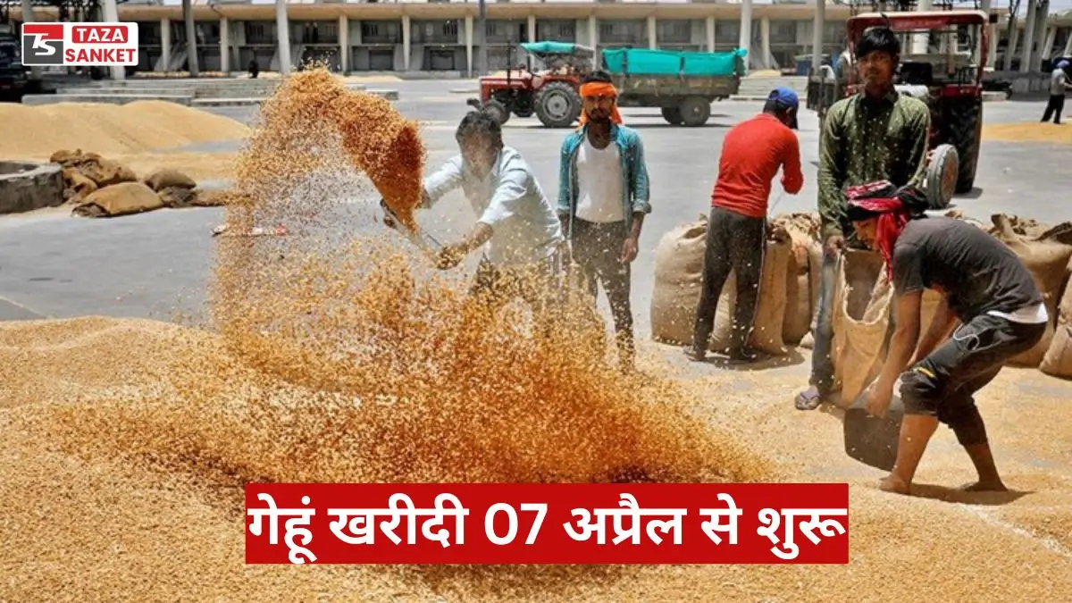 गेहूं खरीदी 07 अप्रैल से शुरू, किसानों को मिलेगा MSP और बोनस का फायदा
