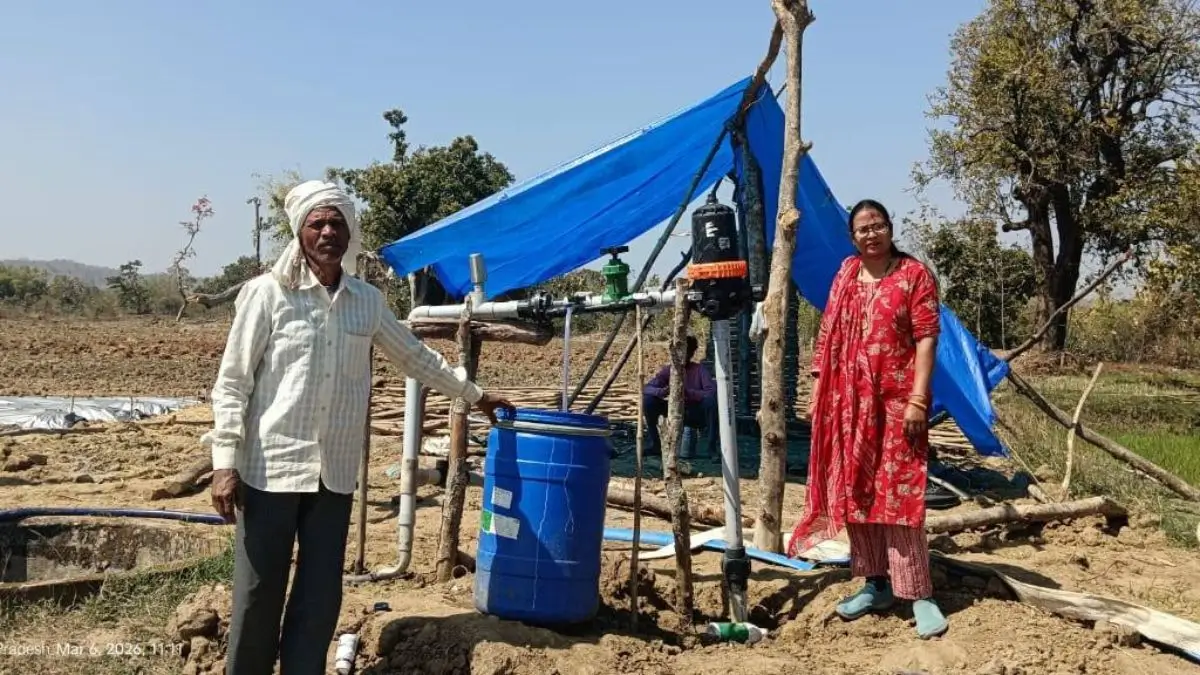 आधुनिक खेती की नई मिसाल, रानीकुठार के किसानों ने खीरा-टमाटर से बदली किस्मत