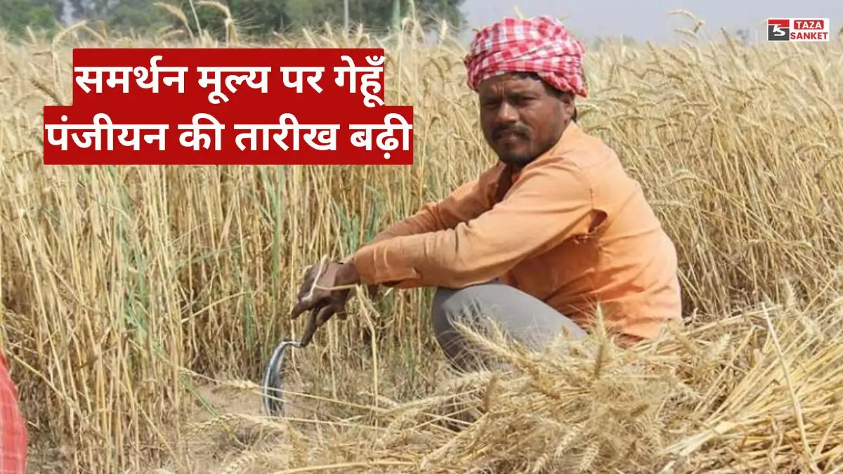 समर्थन मूल्य पर गेहूँ पंजीयन की तारीख बढ़ी, अब 10 मार्च तक किसान करा सकेंगे रजिस्ट्रेशन