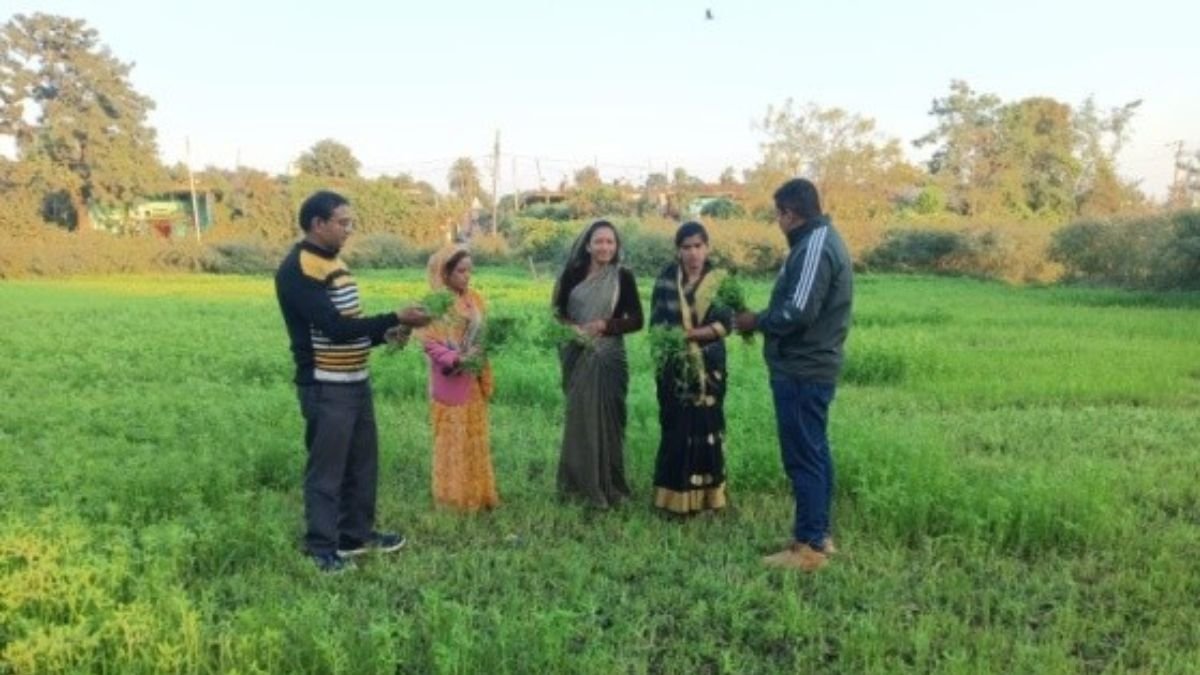 आईएफसी लखपति दीदी योजना से बदली रोशनी लिल्हारे की जिंदगी, अब बनीं गांव की प्रेरणादायक महिला