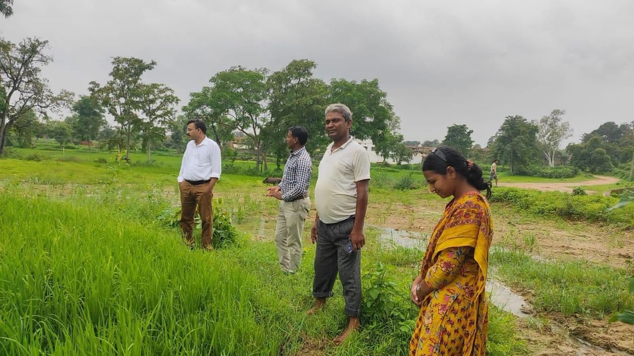 लालबर्रा में धान फसलों का निरीक्षण, किसानों को बेहतर उत्पादन के लिए उप संचालक कृषि ने दिए जरूरी सुझाव