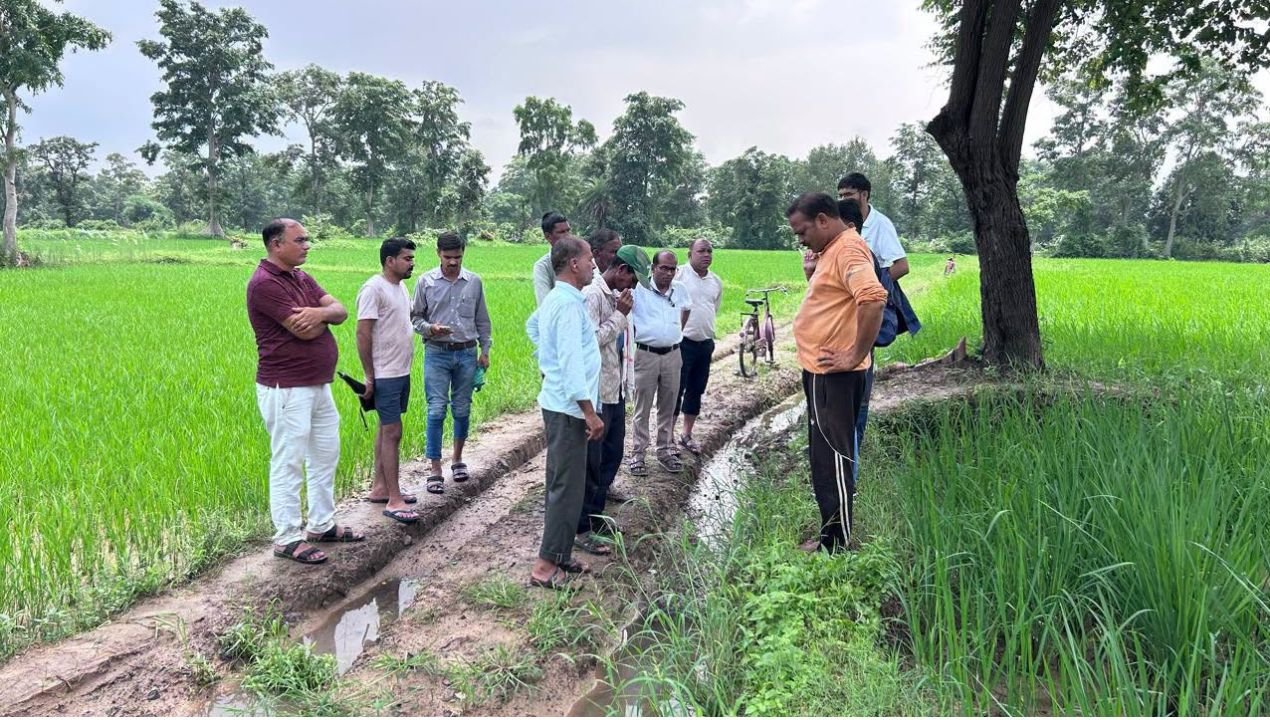 नेवरगांव में धान बीज के कम अंकुरण की शिकायत पर कृषि विभाग की जांच, खेतों में पहुंची टीम